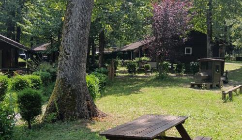 Small Cosy Chalet 4 Persons)