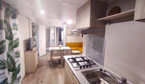 Mobile Home
