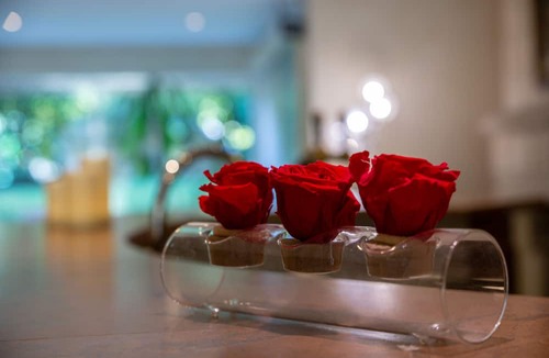 Meylan Hotel | Hôtel Les Trois Roses, Grenoble Meylan