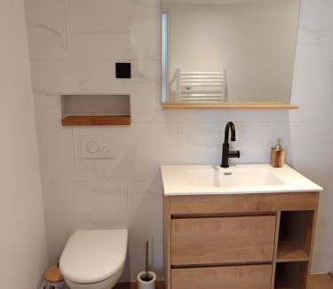 Joncy Apartment | Duplex accès de plein pied, spacieux lumineux