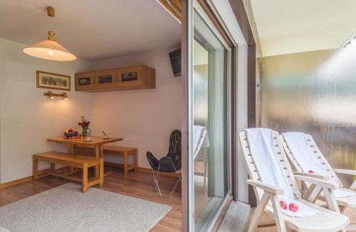 Chamonix City Centre Apartment | Studio lumineux proche des pistes, animaux admis - FR-1-517-32