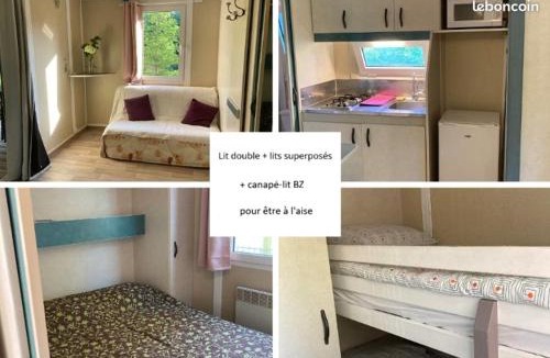 Chazelles-sur-Lyon Other | Chalet 4 places au milieu des sapins du Forez