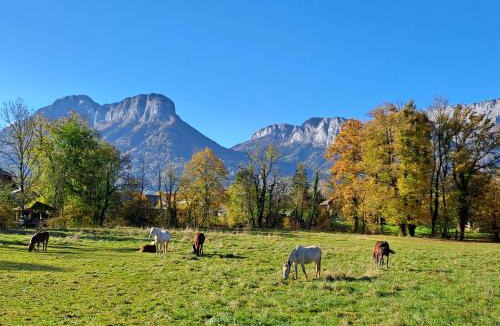 La Celle-sous-Gouzon Apartment | L'Appart des Grands Prés à Doussard entre Lac et Montagnes