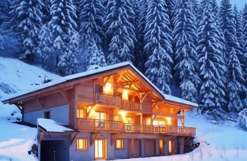 Araches-la-Frasse Ski Chalet | Chalet Arpitan - les Carroz - Grand Massif