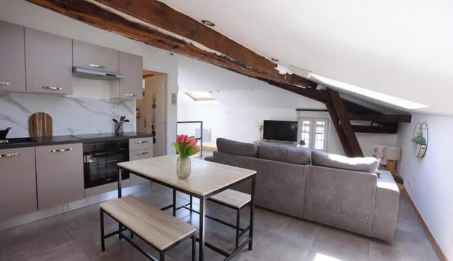Charming rooftop cocoon in Vizille