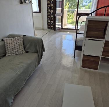Cozy appartement 41 m2 Saint Etienne lumineux , Balcon et Ascenseur