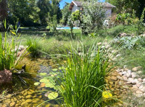 Le Clos des Berges de l'Ain